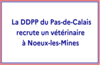 Emploi: la DDPP du Pas-de-Calais recrute un vétérinaire à Noeux-les-Mines