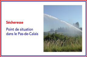 Le département du Pas-de-Calais en vigilance sécheresse