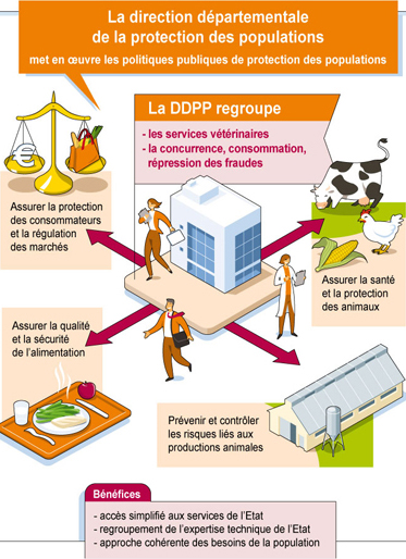 Direction départementale DDPP